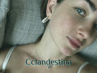 Cclandestina