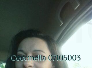 Coccinella-07105003