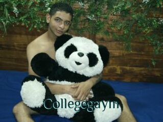 Collegegaym