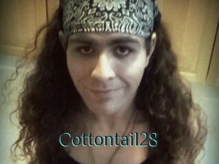 Cottontail28