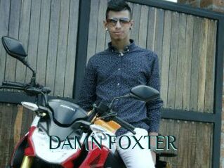 DAMN_FOXTER