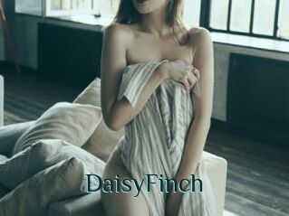 DaisyFinch