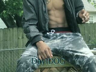 Day1DOG