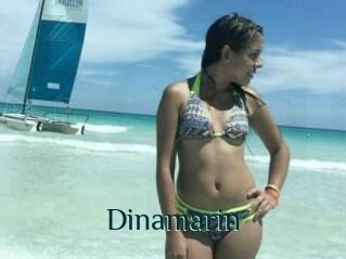 Dinamarin