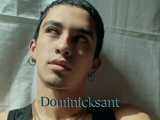 Dominicksant