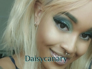 Daisycanary