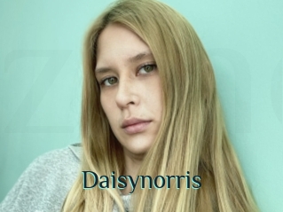 Daisynorris