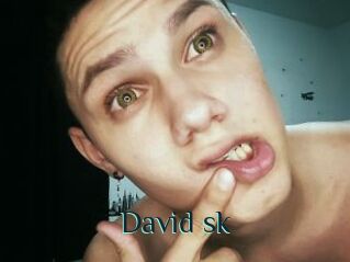 David_sk