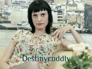 Destinycuddly