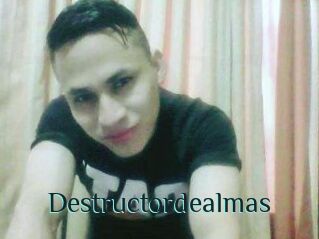 Destructordealmas