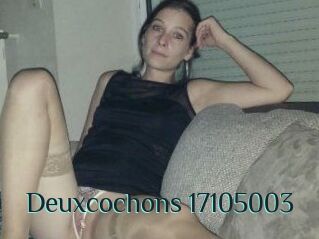 Deuxcochons