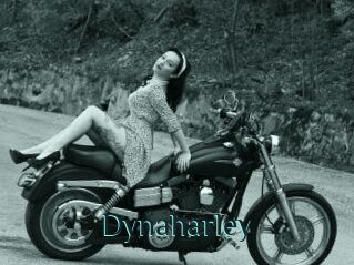 Dynaharley