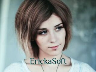 ErickaSoft