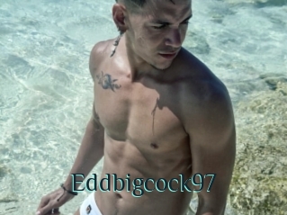 Eddbigcock97