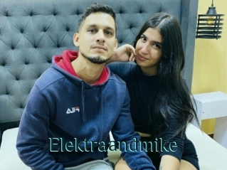 Elektraandmike
