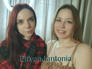 Elfyandantonia