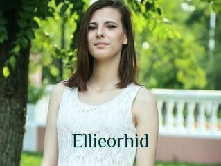 Ellieorhid
