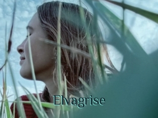 Elvagrise