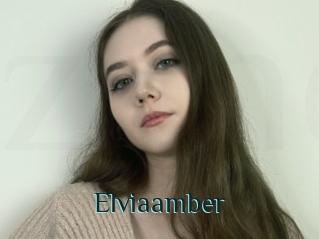 Elviaamber