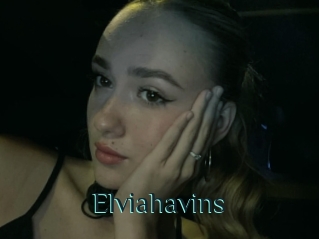 Elviahavins