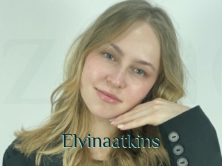 Elvinaatkins