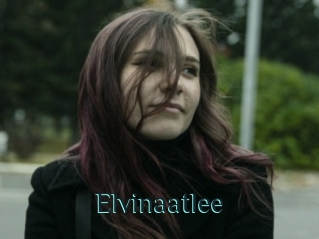 Elvinaatlee