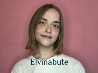 Elvinabute