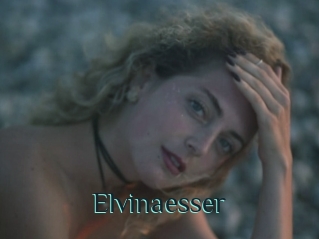 Elvinaesser