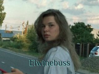 Elwinebuss