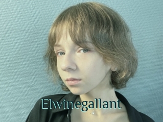 Elwinegallant