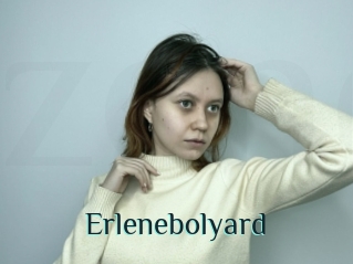 Erlenebolyard
