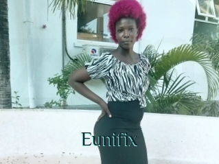 Eunifix