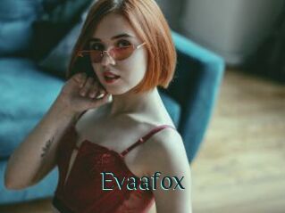 Evaafox