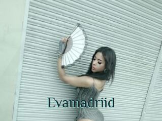 Evamadriid