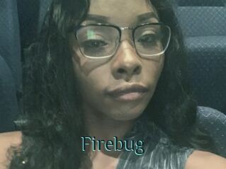 Firebug