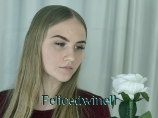 Felicedwinell