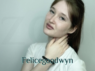 Felicegoodwyn