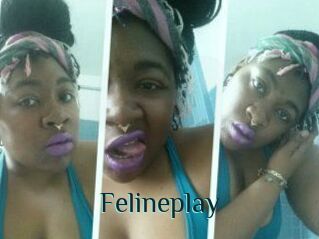 Felineplay