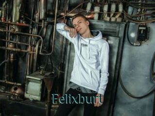 Felixburt