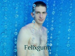 Felixgunn