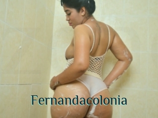 Fernandacolonia