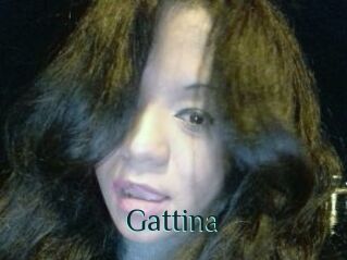 Gattina