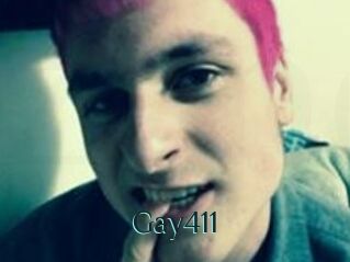 Gay411