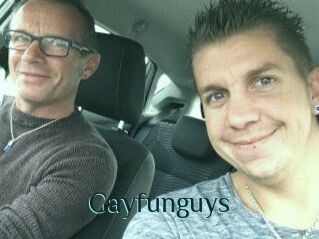 Gayfunguys