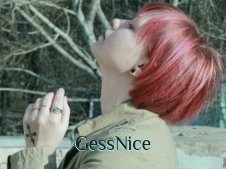 GessNice