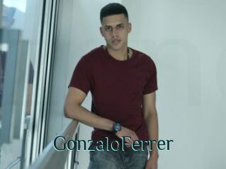 GonzaloFerrer