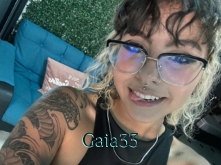 Gaia33