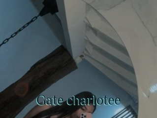 Gate_charlotee