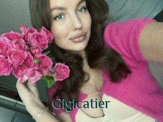 Gigicatier