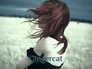 Gingercat